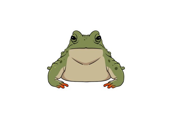 Frog Drawing Illustration: A Versatile Graphic for Creative Projects
